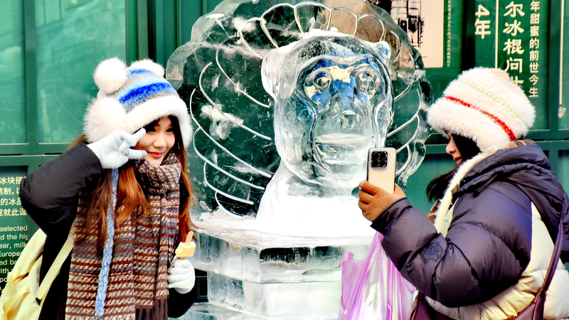 7GYY0JAJHOFLH0R71LMG - News for amigos, by amigos Harbin’s Street Transformed by Vivid Chinese Zodiac Ice Sculptures