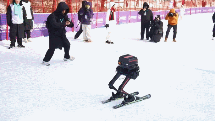 Robots Brave –20°C at First Jingyue Ice & Snow Fun Competition