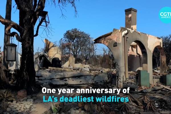 One Year On: LA’s Deadliest Wildfires and the Long Road to Rebuild video poster