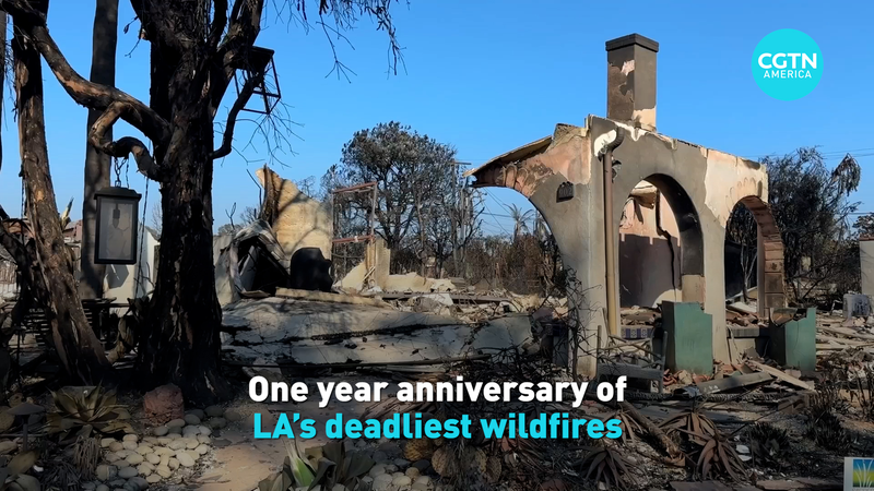 One Year On: LA’s Deadliest Wildfires and the Long Road to Rebuild video poster