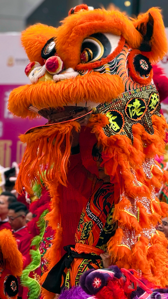 CYGWZD62N0IVL8MX65PV - News for amigos, by amigos Dragon and Lion Dances Ignite Hong Kong’s New Year Festivities video poster
