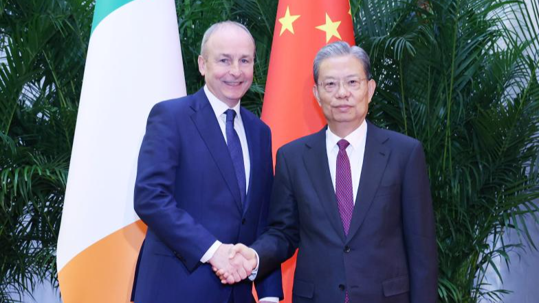 China_and_Ireland_Draw_a_New_Chapter__Zhao_Leji_Meets_Irish_Taoiseach
