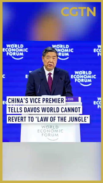Chinese_Vice_Premier_He_Lifeng_at_Davos__No_Return_to__Law_of_the_Jungle_ video poster