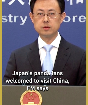 China Welcomes Japanese Panda Fans: Come See Xiao Xiao & Lei Lei 🐼 video poster