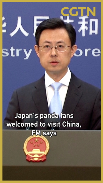 China Welcomes Japanese Panda Fans: Come See Xiao Xiao & Lei Lei 🐼 video poster