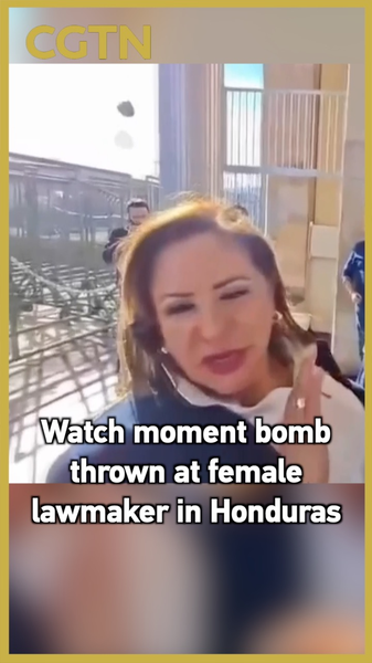 Explosive_Device_Thrown_at_Honduran_Lawmaker_During_Interview_poster - News for amigos, by amigos Explosive_Device_Thrown_at_Honduran_Lawmaker_During_Interview video poster