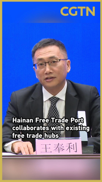 Hainan_Free_Trade_Port_Teams_Up_with_Hong_Kong_SAR__Singapore_and_Dubai video poster