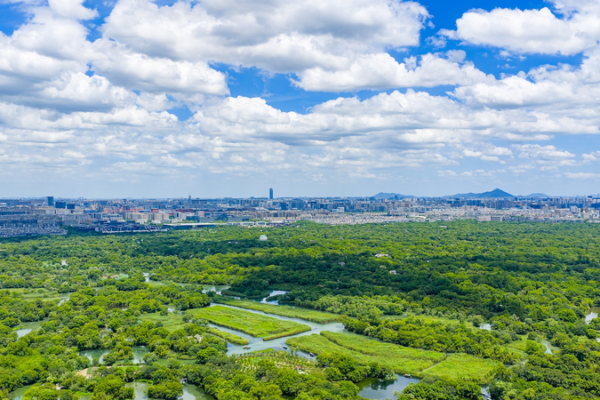 Hangzhou_Named_Among_UN_s_Top_20_Zero_Waste_Cities