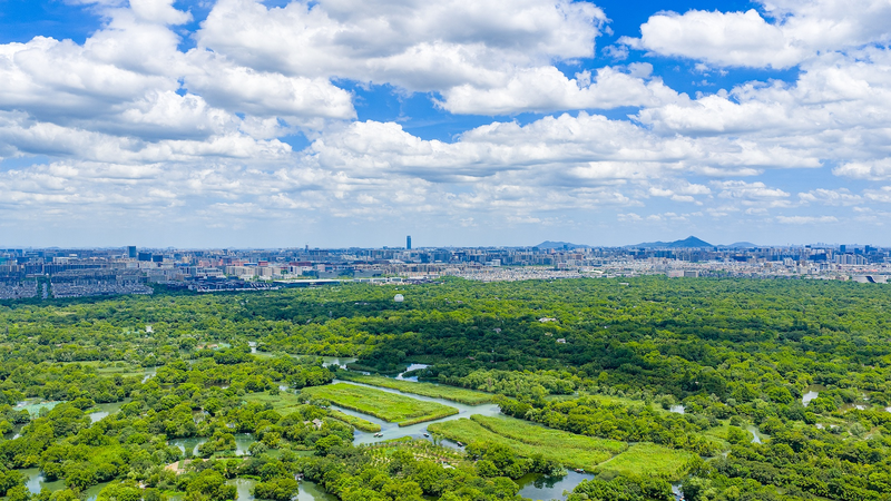 Hangzhou_Named_Among_UN_s_Top_20_Zero_Waste_Cities