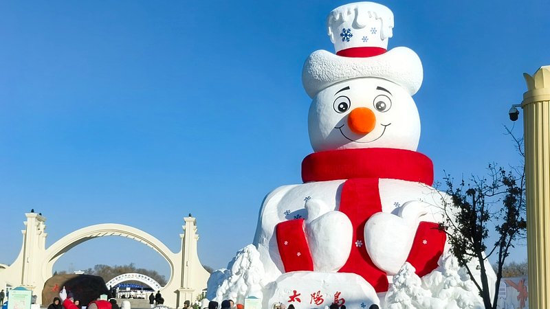 Harbin_s_Epic_Snow_Sculpture_Expo_Lights_Up_Winter video poster