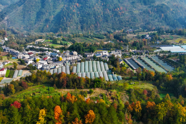 How_Industrial_Development_Anchors_Rural_Revitalization