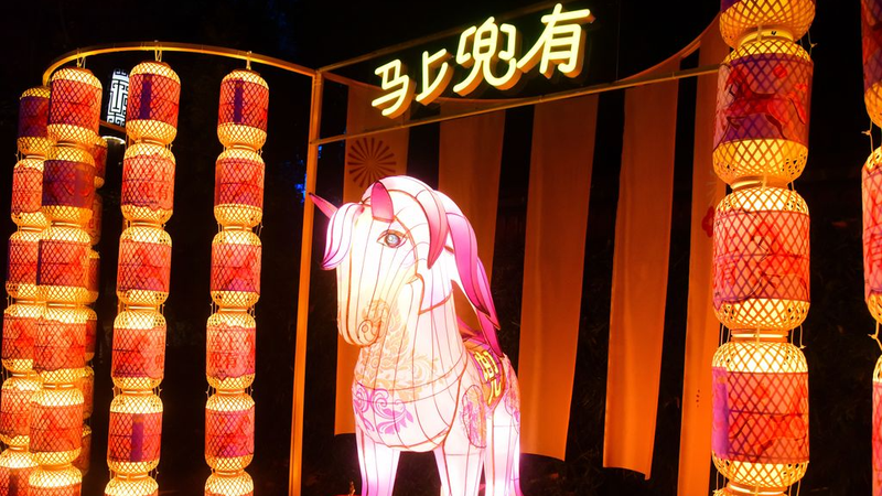 Hangzhou’s Dadou Road Shines for Year of the Horse