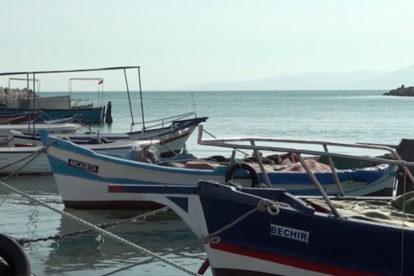 Illegal_Fishing_Threatens_Great_White_Sharks_in_Tunisia video poster