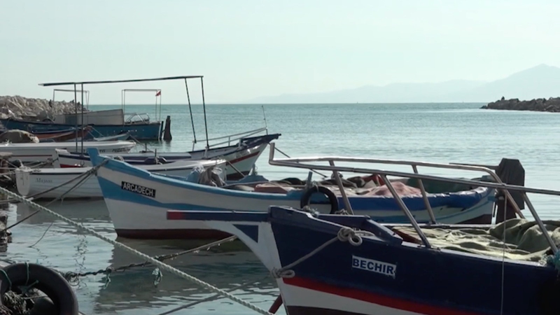 Illegal_Fishing_Threatens_Great_White_Sharks_in_Tunisia video poster