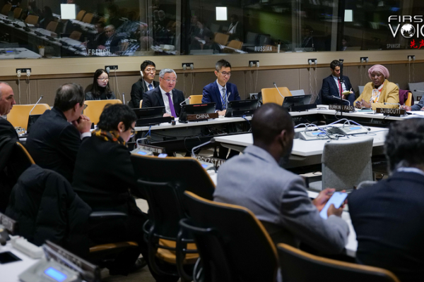 Chinese Mainland’s Global Governance Initiative Gains Traction After Venezuela Shock