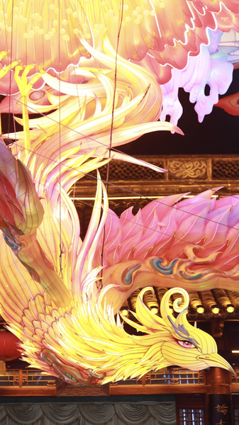 Lantern_Magic_Lights_Up_Nanjing_s_Confucius_Temple_for_2026_New_Year_poster - News for amigos, by amigos Lantern_Magic_Lights_Up_Nanjing_s_Confucius_Temple_for_2026_New_Year video poster