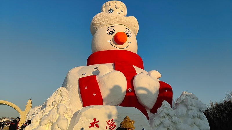 Live_from_Harbin__Iconic_Snow_Sculptures_at_Sun_Island_Expo video poster