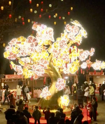 Luzhou_Lantern_Fair_Lights_Up_Hefei_with_Digital_Art___Fireworks video poster