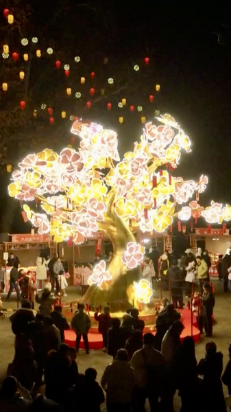 Luzhou_Lantern_Fair_Lights_Up_Hefei_with_Digital_Art___Fireworks video poster