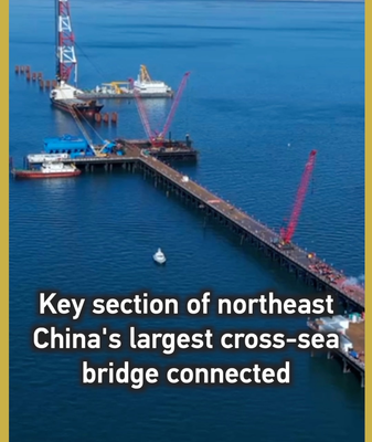 Major_Milestone_for_Changhai_Cross_sea_Bridge video poster