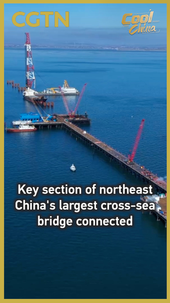Major_Milestone_for_Changhai_Cross_sea_Bridge video poster