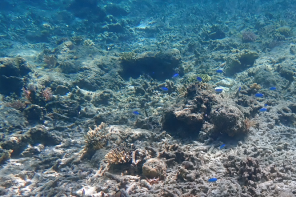 Oceans_Hit_Record_Heat_in_2025__Fueling_Extreme_Weather