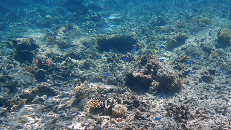 Oceans_Hit_Record_Heat_in_2025__Fueling_Extreme_Weather - News for amigos, by amigos Oceans_Hit_Record_Heat_in_2025__Fueling_Extreme_Weather