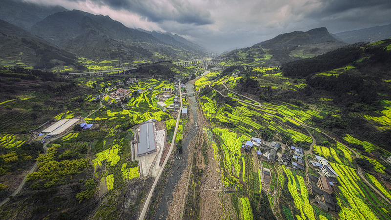 Rapeseed_Flowers_Bring_Spring_Vibes_to_Winter_Sichuan video poster