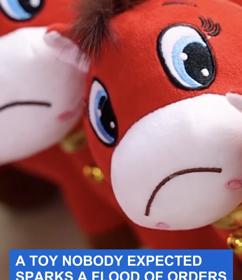 Sad_Plush_Horse_Sparks_Viral_Frenzy_in_Chinese_Mainland video poster