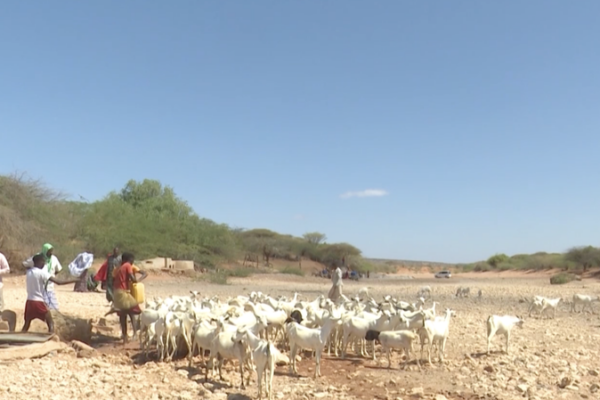 Somalia_s_Drought_Deepens_Rural_Water_Crisis video poster