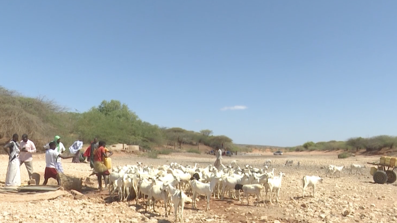 Somalia_s_Drought_Deepens_Rural_Water_Crisis video poster