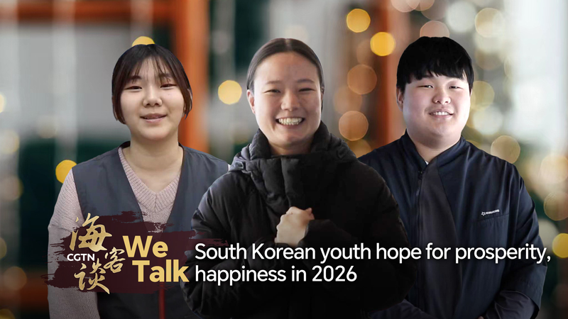 South_Korean_Youth_Hope_for_Prosperity_and_Happiness_in_2026 video poster