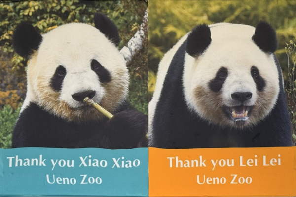 Ueno_Zoo_s_Twin_Pandas_to_Depart_for_the_Chinese_Mainland