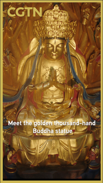 Dazu's Golden Thousand-Hand Buddha Shines Again ✨ Now in Black Myth: Wukong video poster