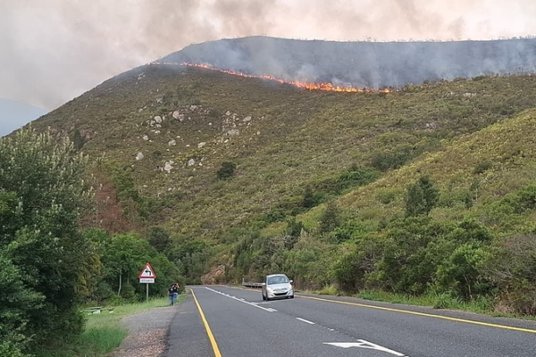 Western_Cape_Wildfires_Rage_On__Displacing_Thousands