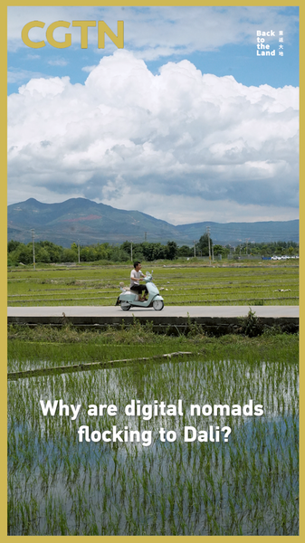 Why_Digital_Nomads_Are_Flocking_to_Dali__Yunnan video poster